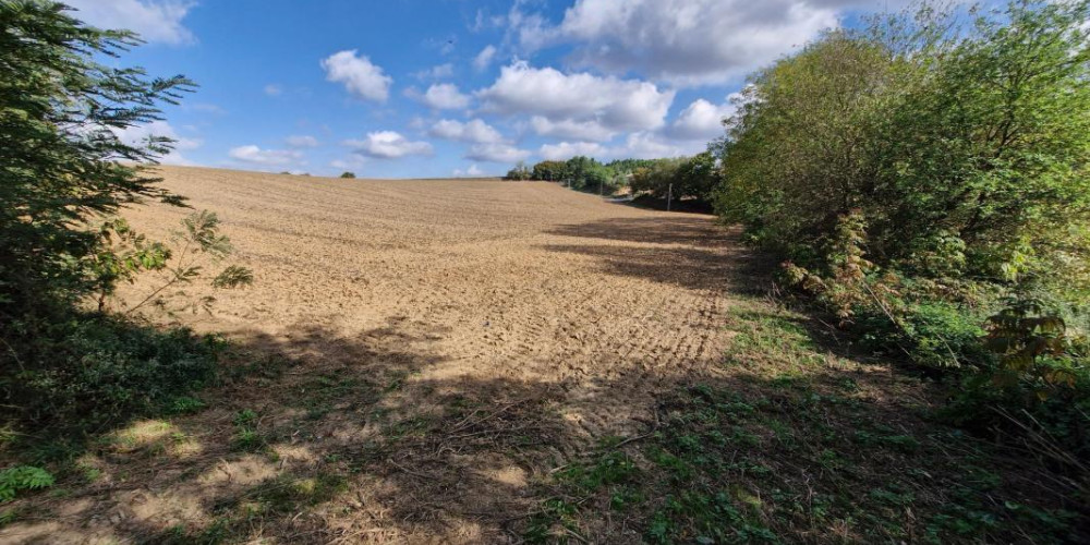 terrain à ST AUBIN (40250)